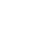 white triangle icon